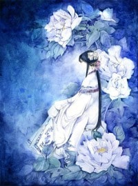 红玫瑰和白玫瑰GL
