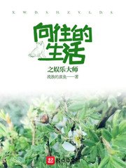 从向往到娱乐大师